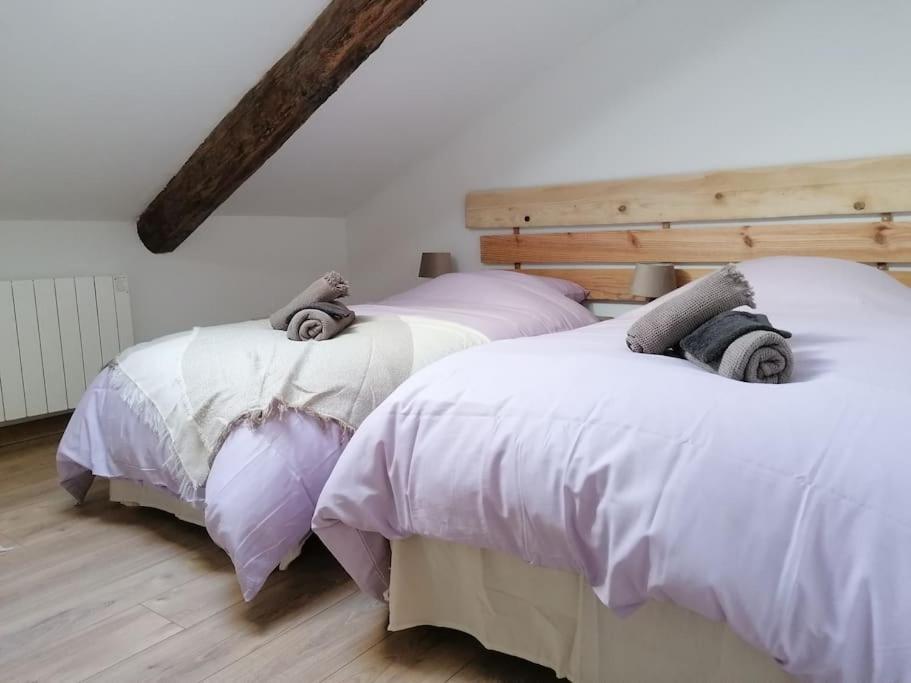 Gite L'Edelweiss 3* La Piarre Ngoại thất bức ảnh